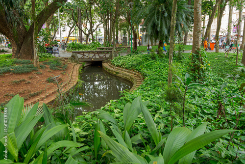 Artificial lake in Halfeld Park, city center of Juiz de Fora, state of Minas Gerais, Brazil.