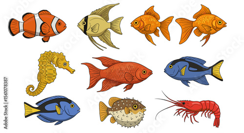 Illustration featuring a variety of colorful sea creatures including fish and shrimp