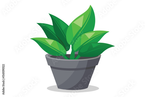 Vibrant Green Potted Plant Lush Foliage and Natural Growth
