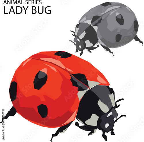 illustration vector of lady bug beetle