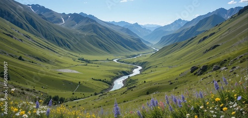 Sweeping view of Pin Valley with colorful wildflowers dotting the green slopes, a river winding through the vast valley surrounded by barren mountains — bright alpine summer setting.