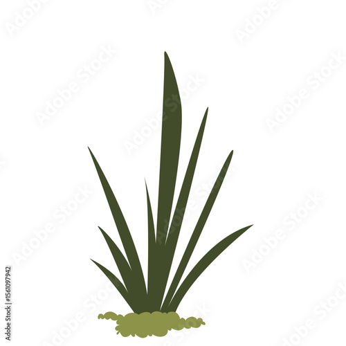 2D illustration of spiky dark green grass growing from light soil, perfect for natural backgrounds, garden elements, or landscape scenes.