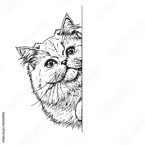 A charming black and white vector illustration of a fluffy Persian cat peeking around a corner. Pet.