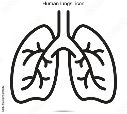Human lungs  icon