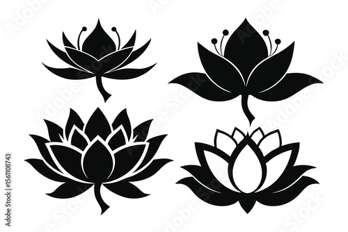 Elegant Lotus Flower Collection Black and White Floral Illustrations