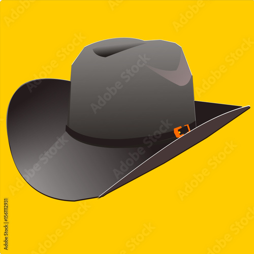 This is a vector image of a hat that has become an icon for cowboys in America