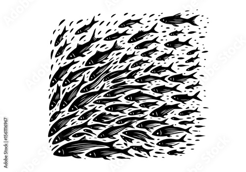 Minnow Fish Simple Hand Drawn Natural Illustration Stylized as Linocut Vector Isolated by AZ for Books, Arts, Design and Decoration Graphic Asset