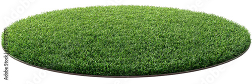 Circular patch of vibrant green grass (5)