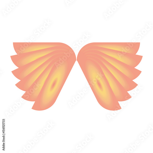 angel wings isolated on white