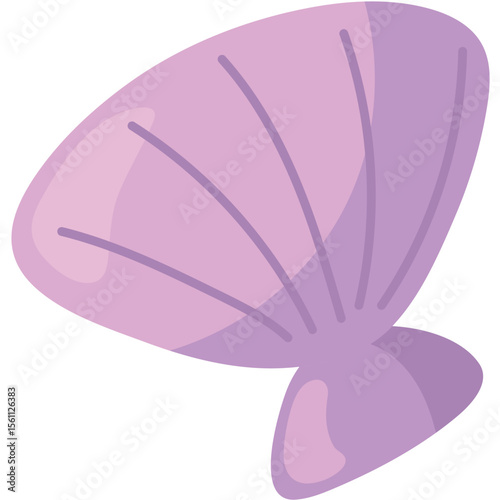 Colorful SeaShell Vector Illustration Set