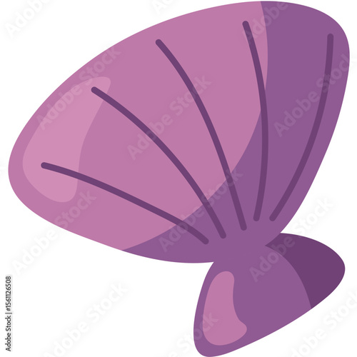 Colorful SeaShell Vector Illustration Set