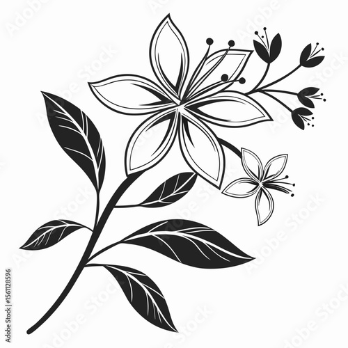 Elegant Black and White Floral Design: Botanical Illustration of Flowers and Leaves for Branding, Decoration, and Print