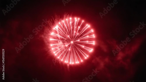 A vibrant red firework bursts and expands across the night sky