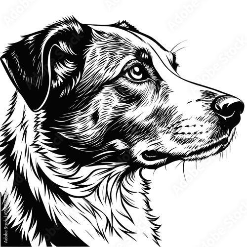 portrait of a black dog