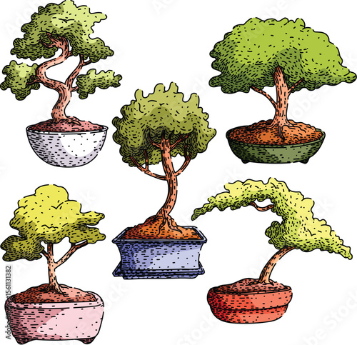 bonzai tree set sketch hand drawn vector