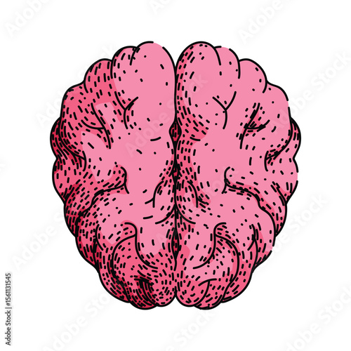 synapse brain sketch hand drawn vector