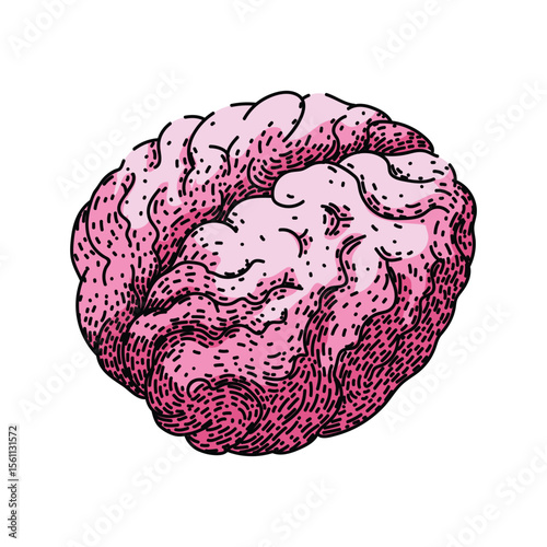 cognition brain sketch hand drawn vector