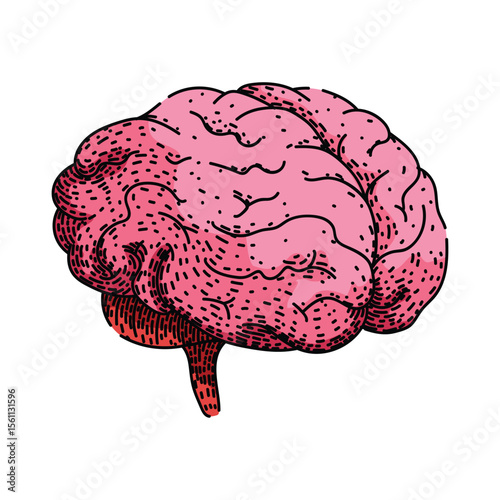 memory brain sketch hand drawn vector