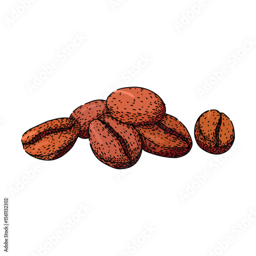 grind cofeee bean sketch hand drawn vector