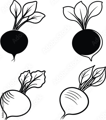 Vibrant radish advertisement banner design with bold typography and color accents
