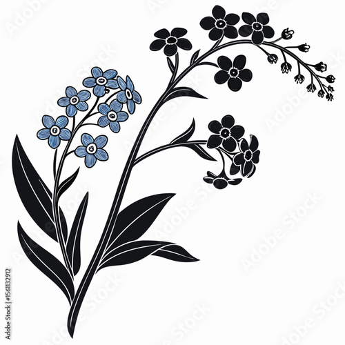 Elegant Forget-Me-Not Floral Design: Blue and Black Botanical Illustration
