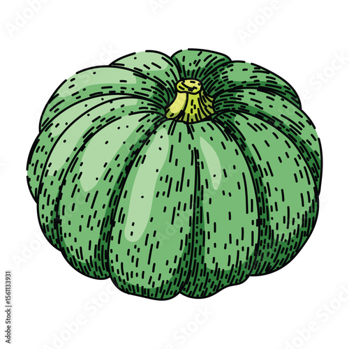 autumn pumpkin sketch hand drawn vector
