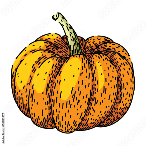 carving pumpkin sketch hand drawn vector