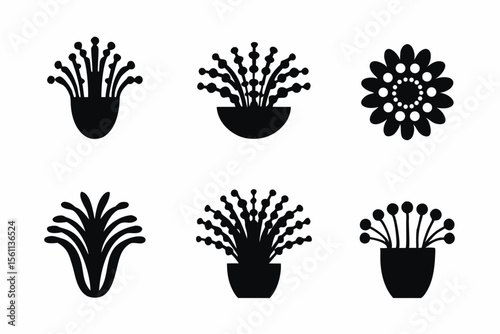 set of sea Anemone icon vector silhouette illustration isolated on white background