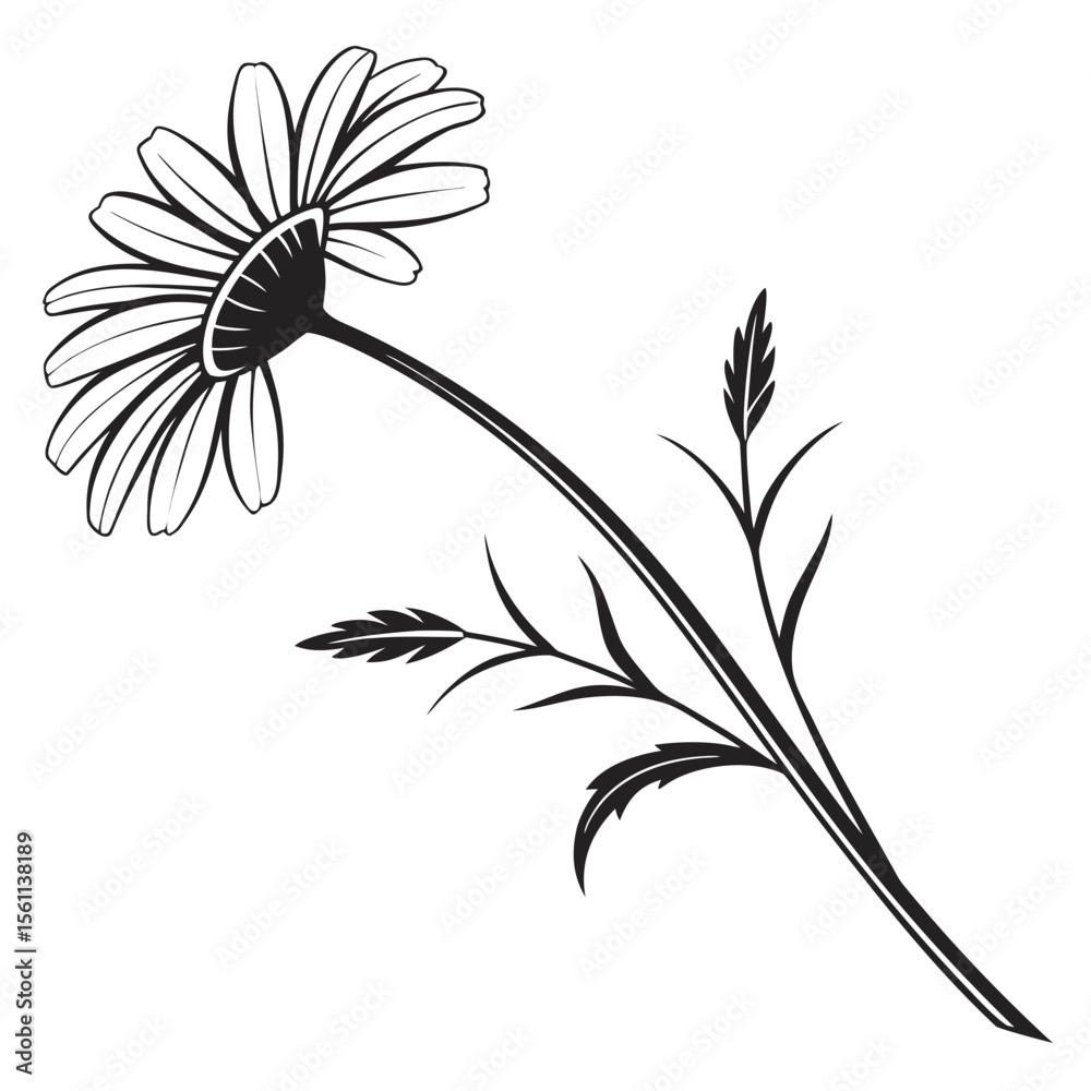 custom made wallpaper toronto digitalBlack and White Daisy Flower Line Art: Botanical Illustration for Design Projects