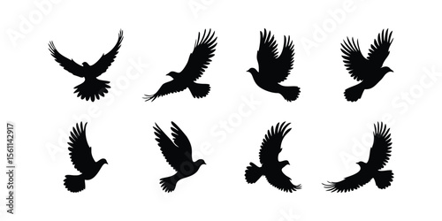 Flying bird silhouette vector collection. Set of black flying bird icons in various poses. Simple and elegant vector designs for logos, tattoos, nature designs and other creative design projects.