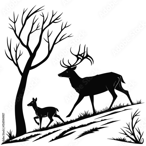 deer in the forest