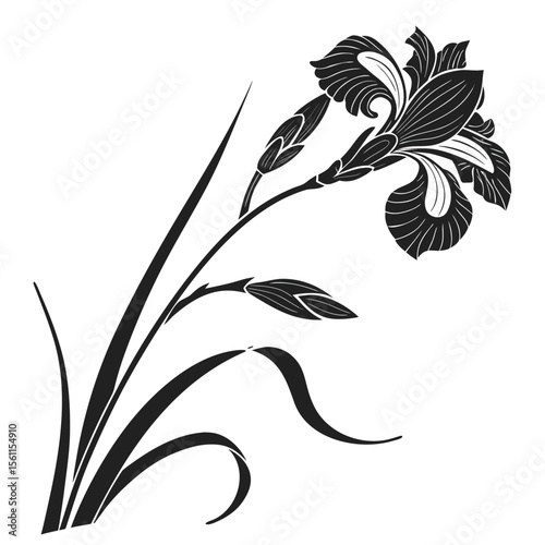 Elegant Black and White Iris Floral Design: A Detailed Vector Graphic