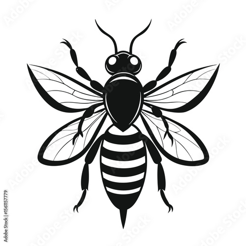 Black Bee vector design 