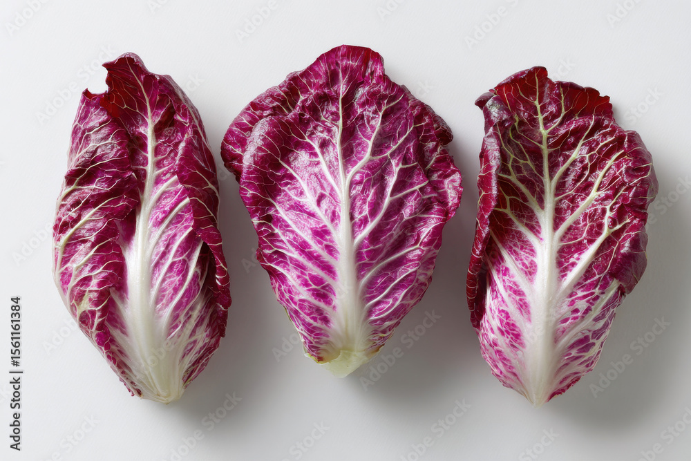 Obraz premium Venetian radicchio leaves on white studio setup