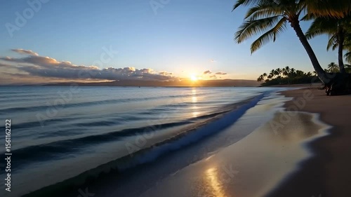 Serene beach at sunset with golden sunlight reflecting on water and sand with trees silhouette creating a peaceful atmosphere