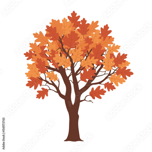 Stylized autumn oak tree illustration with vibrant colors showcasing seasonal foliage changes and a classic artistic rendering suitable for various design projects