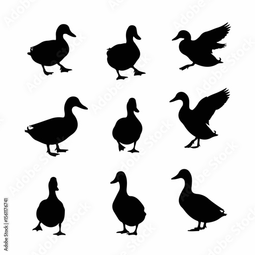 Duck Silhouettes Collection