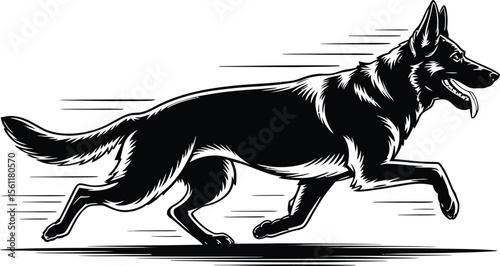 Silhouette vector black and white illustration of a german shepherd running at high speed with motion line accents