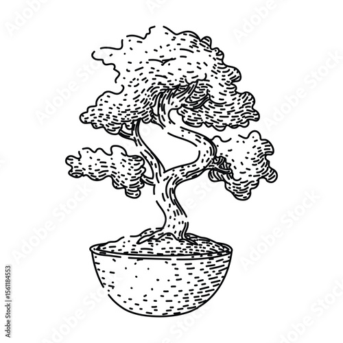soil bonzai tree sketch hand drawn black