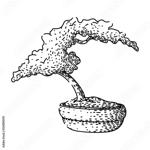 pruning bonzai tree sketch hand drawn black