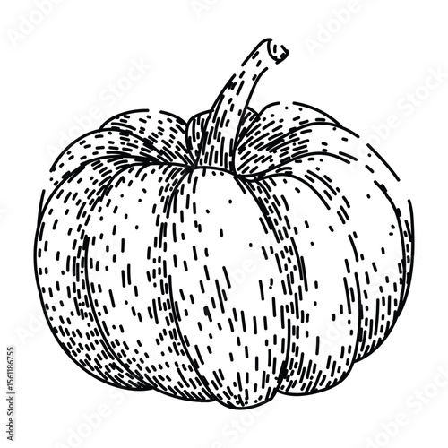 carving pumpkin sketch hand drawn black