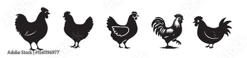Standing Rooster Clipart – Black Chicken Graphics