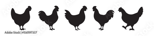 Black Rooster Vector Icons – Chicken Silhouettes Collection