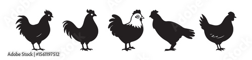 Rooster Silhouette Set – Full Body Farm Bird Vectors