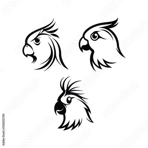 Cockatiel Head Vector Silhouette On White Background  