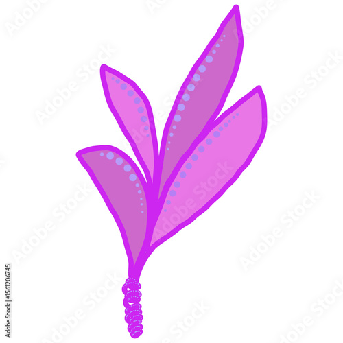 violet flower isolated on white background