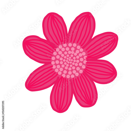 pink dahlia flower