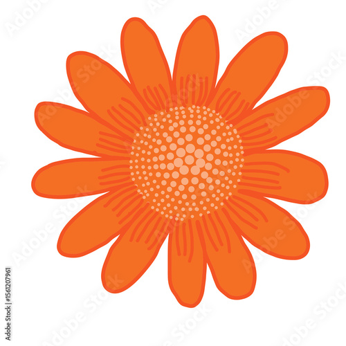 orange flower isolated on white