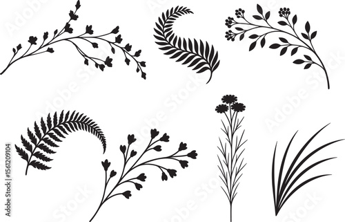 Elegant botanical silhouettes featuring decorative floral elements in black and white isolated designs