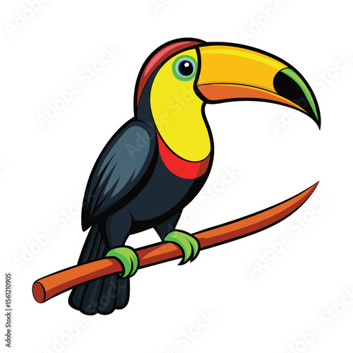 toucan bird cartoon on a white background.